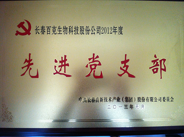 先進黨支部.jpg
